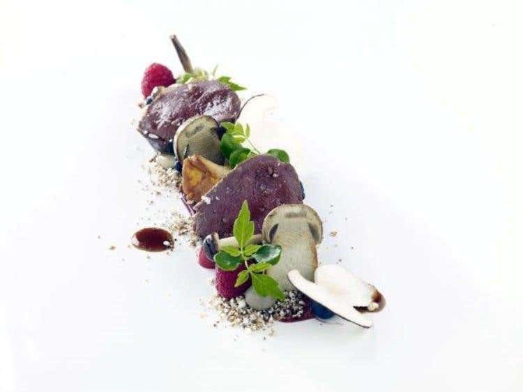 Cervo, Bosco e Sottobosco